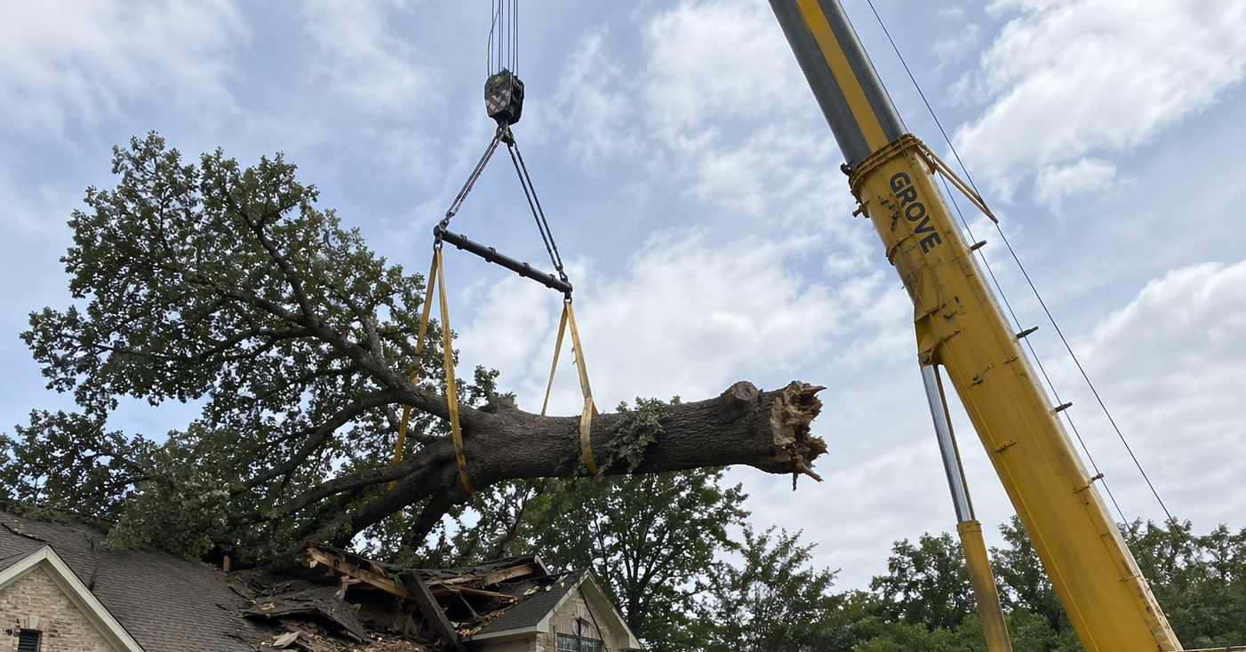 A professional crane lifts a heavy log over a coastal cottage.